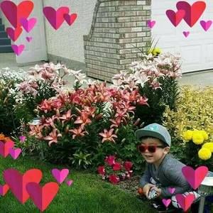 Meet your Posher, Evelyn